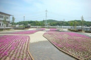 アクアセンター吉備路 外構植樹工事